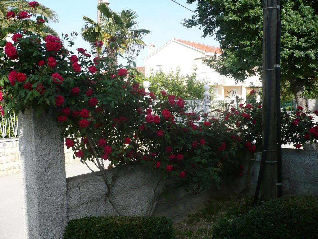Rose Apartment Zadar Quarto foto